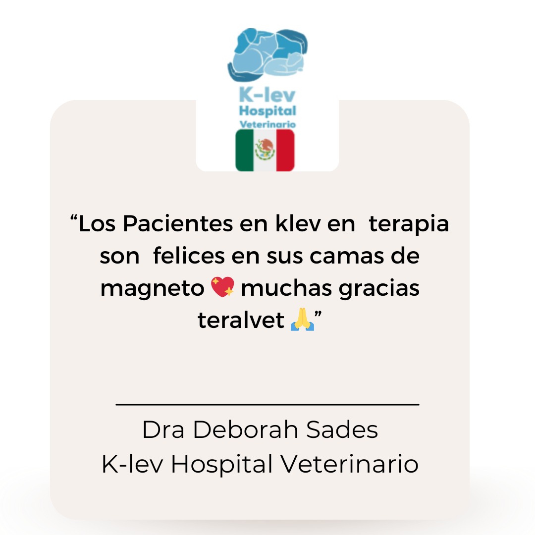 K-LEV Hospital Veterinario